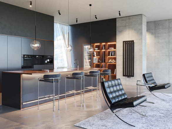 camera de zi Zehnder Metropolitan radiator